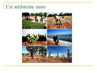 Un ambiente sano