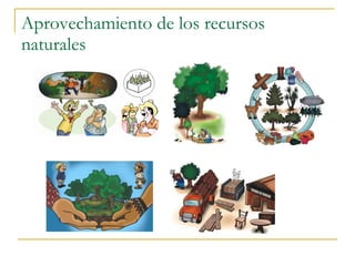 Aprovechamiento de los recursos naturales