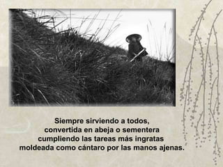 Siempre sirviendo a todos, convertida en abeja o sementera cumpliendo las tareas más ingratas  moldeada como cántaro por las manos ajenas. 