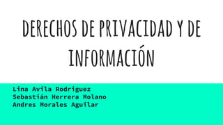 derechosdeprivacidadyde
información
Lina Avila Rodriguez
Sebastián Herrera Molano
Andres Morales Aguilar
 