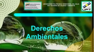 UNIVERSIDAD POLITÉCNICA TERRITORIAL DEL ZULIA
PNF SISTEMAS DE CALIDAD Y AMBIENTE
Derechos
Ambientales
 