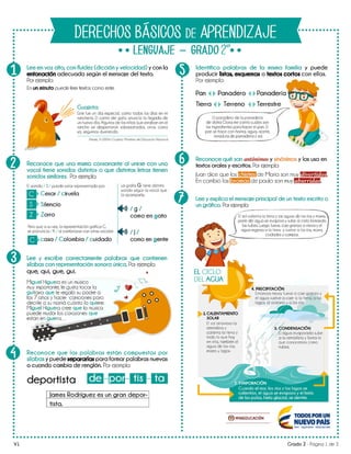 Derechos basicos de aprendizaje colombia v2