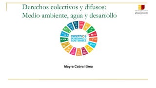 Derechos colectivos y difusos:
Medio ambiente, agua y desarrollo
Mayra Cabral Brea
 