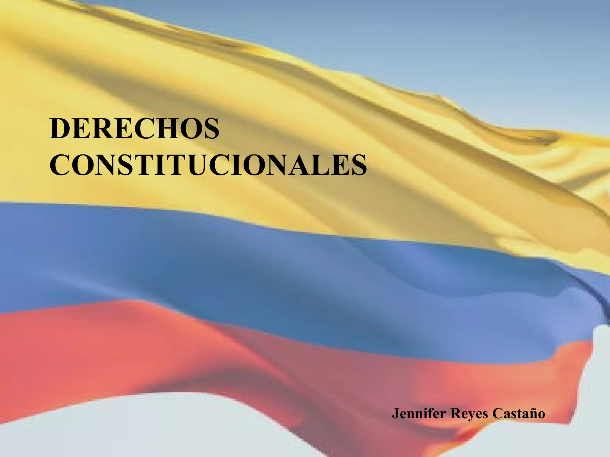 Derechos constitucionales PPT
