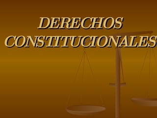 DERECHOS  CONSTITUCIONALES 