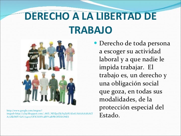 Derechos constitucionales