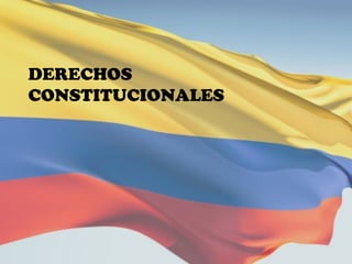 DERECHOS
CONSTITUCIONALES
 