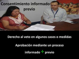 Derechos a la consulta, al consentimiento fundamentado previo y a la participación en beneficios  en el contexto del acceso y uso de los recursos genéticos y del conocimiento tradicional asociado