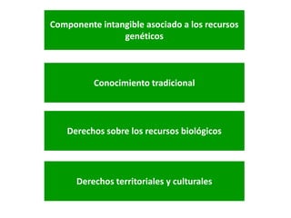 Derechos a la consulta, al consentimiento fundamentado previo y a la participación en beneficios  en el contexto del acceso y uso de los recursos genéticos y del conocimiento tradicional asociado