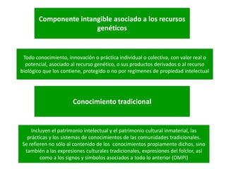 Derechos a la consulta, al consentimiento fundamentado previo y a la participación en beneficios  en el contexto del acceso y uso de los recursos genéticos y del conocimiento tradicional asociado