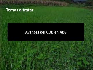 Derechos a la consulta, al consentimiento fundamentado previo y a la participación en beneficios  en el contexto del acceso y uso de los recursos genéticos y del conocimiento tradicional asociado