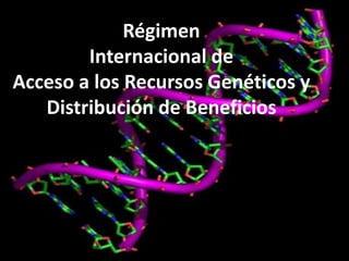 Derechos a la consulta, al consentimiento fundamentado previo y a la participación en beneficios  en el contexto del acceso y uso de los recursos genéticos y del conocimiento tradicional asociado