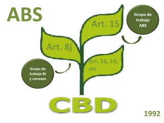 Derechos a la consulta, al consentimiento fundamentado previo y a la participación en beneficios  en el contexto del acceso y uso de los recursos genéticos y del conocimiento tradicional asociado