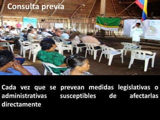Derechos a la consulta, al consentimiento fundamentado previo y a la participación en beneficios  en el contexto del acceso y uso de los recursos genéticos y del conocimiento tradicional asociado