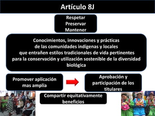 Derechos a la consulta, al consentimiento fundamentado previo y a la participación en beneficios  en el contexto del acceso y uso de los recursos genéticos y del conocimiento tradicional asociado