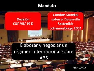 Derechos a la consulta, al consentimiento fundamentado previo y a la participación en beneficios  en el contexto del acceso y uso de los recursos genéticos y del conocimiento tradicional asociado
