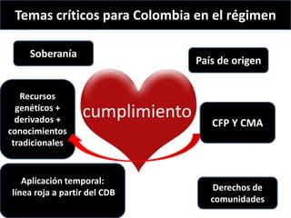 Derechos a la consulta, al consentimiento fundamentado previo y a la participación en beneficios  en el contexto del acceso y uso de los recursos genéticos y del conocimiento tradicional asociado