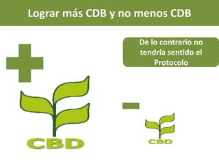 Derechos a la consulta, al consentimiento fundamentado previo y a la participación en beneficios  en el contexto del acceso y uso de los recursos genéticos y del conocimiento tradicional asociado