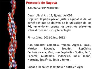 Derechos a la consulta, al consentimiento fundamentado previo y a la participación en beneficios  en el contexto del acceso y uso de los recursos genéticos y del conocimiento tradicional asociado