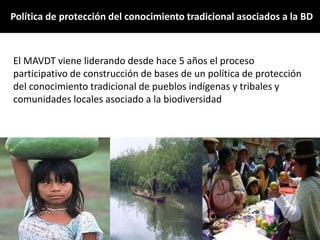 Derechos a la consulta, al consentimiento fundamentado previo y a la participación en beneficios  en el contexto del acceso y uso de los recursos genéticos y del conocimiento tradicional asociado