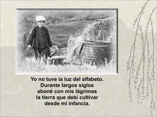 Yo no tuve la luz del alfabeto.
    Durante largos siglos
   aboné con mis lágrimas
  la tierra que debí cultivar
       desde mi infancia.
 