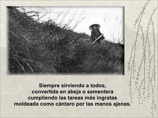 Siempre sirviendo a todos,
      convertida en abeja o sementera
    cumpliendo las tareas más ingratas
moldeada como cántaro por las manos ajenas.
 