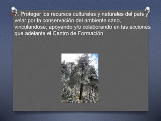 O 7. Proteger los recursos culturales y naturales del país y
velar por la conservación del ambiente sano,
vinculándose, apoyando y/o colaborando en las acciones
que adelante el Centro de Formación
 