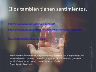 http://www.youtube.com/watch?v=E8ojY88rat4
http://www.youtube.com/watch?v=f4K9iSyj_lk&feature=player_embedded
http://www.amedea.org.mx/ligas.html
Rehúso comer los animales porque no puedo nutrirme con el sufrimiento y la
muerte de otras criaturas. Lo rehúso porque yo he sufrido tanto que puedo
sentir el dolor de los demás cuando recuerdo el mío.
Edgar Kupfer-Koberwitz
 