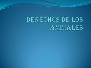 DERECHOS DE LOS ANIMALES  