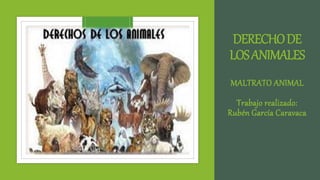 DERECHODE
LOSANIMALES
MALTRATO ANIMAL
Trabajo realizado:
Rubén García Caravaca
 
