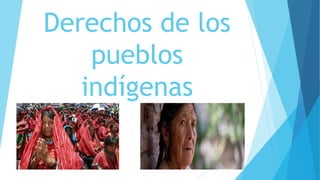 Derechos de los
pueblos
indígenas
 