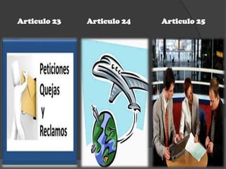 Articulo 23 Articulo 24 Articulo 25
 