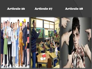 Articulo 26 Articulo 27 Articulo 28
 