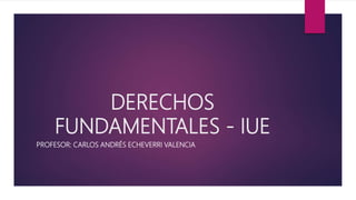 DERECHOS
FUNDAMENTALES - IUE
PROFESOR: CARLOS ANDRÉS ECHEVERRI VALENCIA
 