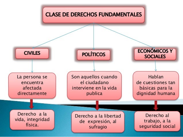 Derechos fundamentales de la persona.