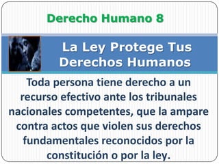  Derecho Humano 8La Ley Protege TusDerechos HumanosToda persona tiene derecho a un recurso efectivo ante los tribunales nacionales competentes, que la ampare contra actos que violen sus derechos fundamentales reconocidos por la constitución o por la ley.