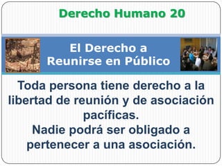              Derecho Humano 20El Derecho a Reunirse en PúblicoToda persona tiene derecho a la libertad de reunión y de asociación pacíficas.Nadie podrá ser obligado a pertenecer a una asociación.