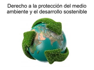 Derecho a la protección del medio
ambiente y el desarrollo sostenible
 