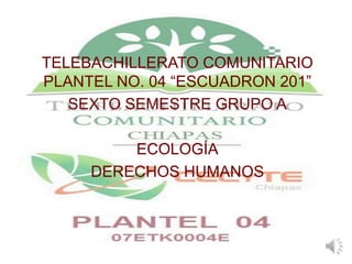 TELEBACHILLERATO COMUNITARIO
PLANTEL NO. 04 “ESCUADRON 201”
SEXTO SEMESTRE GRUPO A
ECOLOGÍA
DERECHOS HUMANOS
 