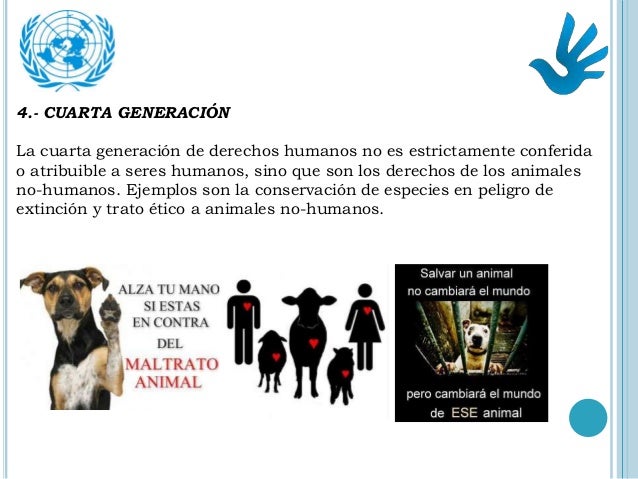 Derechos Humanos Derechos Humanos