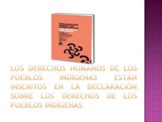 Derechos humanos de los pueblos indígenas. | PPTX