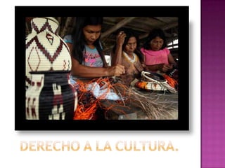Derechos humanos de los pueblos indígenas. | PPTX
