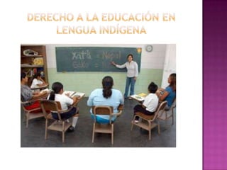 Derechos humanos de los pueblos indígenas. | PPTX