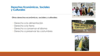 Derechos Económicos, Sociales
y Culturales
Otros derechos económicos, sociales y culturales:
◦ Derecho a la alimentación
◦ Derecho a la tierra
◦ Derecho a conservar el idioma
◦ Derecho a preservar las costumbres
 