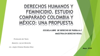 ESCUELA LIBRE DE DERECHO DE PUEBLA A.C
MAESTRIA EN DERECHO PENAL
Protocolo de Tesis:
Maestro (a) en Derecho
Lic. Angie Ximena Rendon Diaz
Mayo, 2020
 
