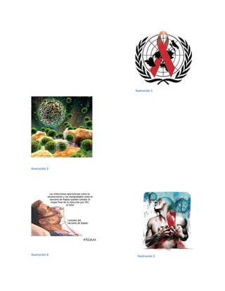 Ilustración 2
Ilustración 4
Ilustración 1
Ilustración 3
 