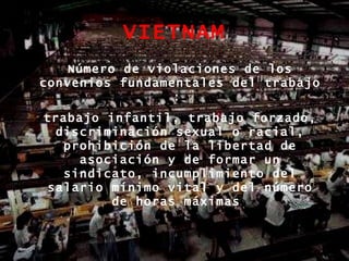 VIETNAM Número de violaciones de los convenios fundamentales del trabajo  :  trabajo infantil, trabajo forzado, discriminación sexual o racial, prohibición de la libertad de asociación y de formar un sindicato, incumplimiento del salario mínimo vital y del número de horas máximas  