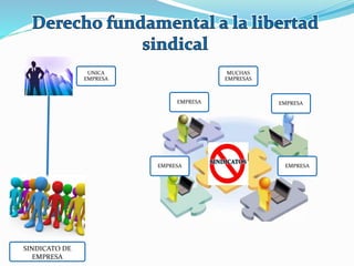 UNICA
EMPRESA
SINDICATO DE
EMPRESA
EMPRESA EMPRESA
EMPRESAEMPRESA
MUCHAS
EMPRESAS
 