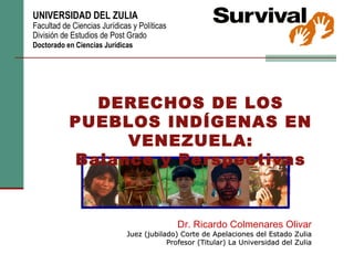DERECHOS DE LOS
PUEBLOS INDÍGENAS EN
     VENEZUELA:
Balance y Perspectivas
 