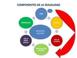 COMPONENTES DE LA SEXUALIDAD INDIVIDUO SEXUADO 1 